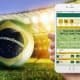 Welcome bonus bet365
