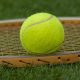 Ver Streaming Open de Australia