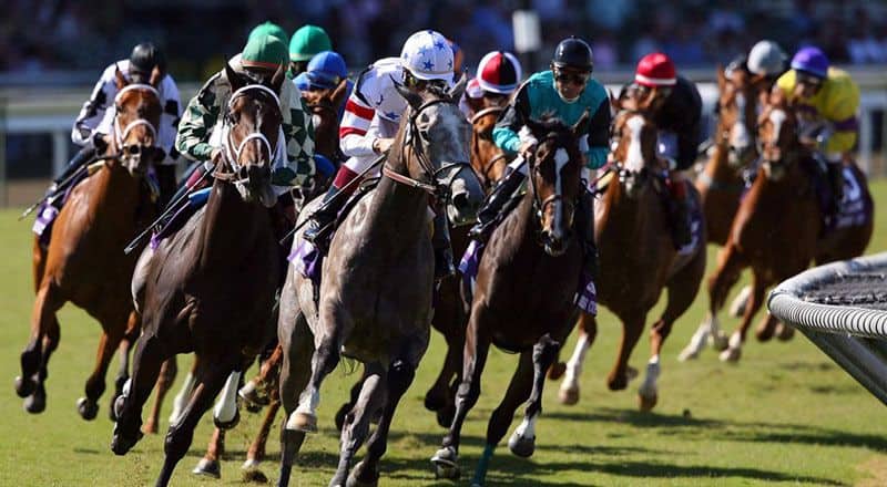 apuestas en carreras de caballo